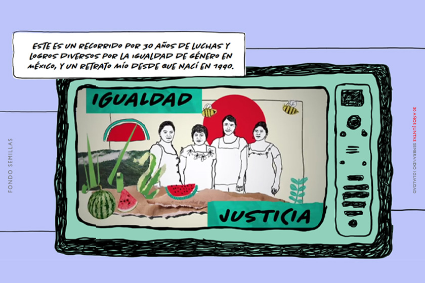 Financia Fondo Semillas a más 1,100 ONGs en 30 años de trabajo por la igualdad de género